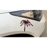 カーステッカー カッティングステッカー ボディステッカー | PlusNao | 詳細画像8