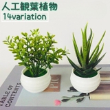 人工観葉植物 フェイクグリーン 造花 | PlusNao | 詳細画像1