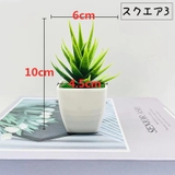 人工観葉植物 フェイクグリーン 造花 | PlusNao | 詳細画像10