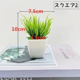 人工観葉植物 フェイクグリーン 造花 | PlusNao | 詳細画像9