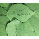 付箋 ふせん メモ帳 | PlusNao | 詳細画像10 