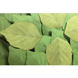 付箋 ふせん メモ帳 | PlusNao | 詳細画像11 