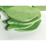 付箋 ふせん メモ帳 | PlusNao | 詳細画像14 