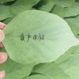 付箋 ふせん メモ帳 | PlusNao | 詳細画像3 