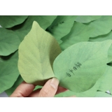 付箋 ふせん メモ帳 | PlusNao | 詳細画像4 