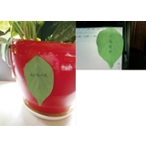 付箋 ふせん メモ帳 | PlusNao | 詳細画像6 