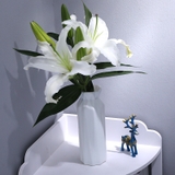 花瓶 花器 フラワーベース | PlusNao | 詳細画像3