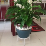 フラワースタンド 植木鉢置き インテリア | PlusNao | 詳細画像2 