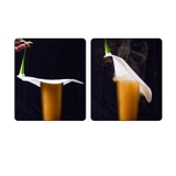 排水口カバー 排水溝カバー シリコン | PlusNao | 詳細画像13