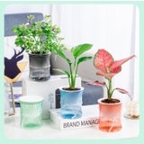 植木鉢 フラワーポット 多肉植物ポット | PlusNao | 詳細画像8