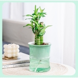 植木鉢 フラワーポット 多肉植物ポット | PlusNao | 詳細画像9