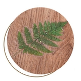 フレークシール ステッカー 40枚セット | PlusNao | 詳細画像14 