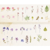 フレークシール ステッカー 40枚セット | PlusNao | 詳細画像5 