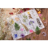 フレークシール ステッカー 40枚セット | PlusNao | 詳細画像7 