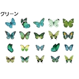 クリアステッカー シール 40枚セット | PlusNao | 詳細画像17 