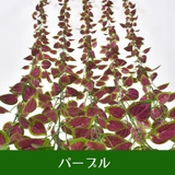 フェイクグリーン 人工観葉植物 造花 | PlusNao | 詳細画像13