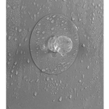 ウォールフック 5個セット 粘着フック | PlusNao | 詳細画像13 