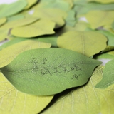 付箋 2冊セット ふせん | PlusNao | 詳細画像3 