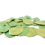 付箋 2冊セット ふせん | PlusNao | 詳細画像5 