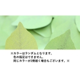 付箋 2冊セット ふせん | PlusNao | 詳細画像7 