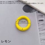 キーリング キーホルダー 5個セット | PlusNao | 詳細画像20 