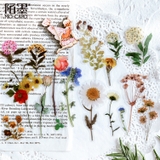 フレークシール 文房具 シール | PlusNao | 詳細画像2