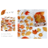 フレークシール 文房具 シール | PlusNao | 詳細画像8