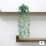 フェイクグリーン 人工観葉植物 造花 | PlusNao | 詳細画像16