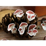 マスキングテープ 100枚入り マステ | PlusNao | 詳細画像4 