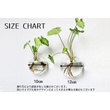 花瓶 フラワーベース フラワースタンド | PlusNao | 詳細画像9