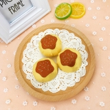 手作りキット 手芸セット モチーフ | PlusNao | 詳細画像13