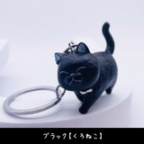 キーホルダー キーリング バッグチャーム | PlusNao | 詳細画像6
