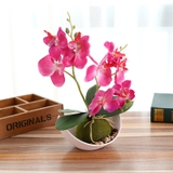 造花 花 植物 | PlusNao | 詳細画像1