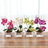 造花 花 植物 | PlusNao | 詳細画像2