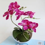 造花 花 植物 | PlusNao | 詳細画像9