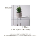 観葉植物 フェイクグリーン 多肉植物 | PlusNao | 詳細画像18