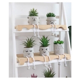 観葉植物 フェイクグリーン 多肉植物 | PlusNao | 詳細画像2