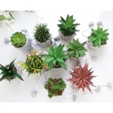 観葉植物 フェイクグリーン 多肉植物 | PlusNao | 詳細画像8