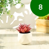 フェイクグリーン 単品 鉢植え | PlusNao | 詳細画像10 