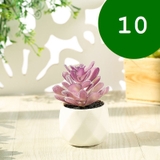 フェイクグリーン 単品 鉢植え | PlusNao | 詳細画像12 