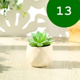 フェイクグリーン 単品 鉢植え | PlusNao | 詳細画像15 