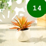 フェイクグリーン 単品 鉢植え | PlusNao | 詳細画像16 