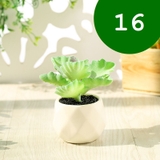 フェイクグリーン 単品 鉢植え | PlusNao | 詳細画像18 