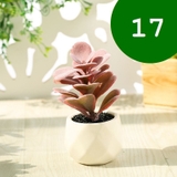 フェイクグリーン 単品 鉢植え | PlusNao | 詳細画像19 