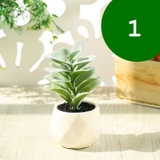 フェイクグリーン 単品 鉢植え | PlusNao | 詳細画像3 