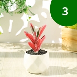 フェイクグリーン 単品 鉢植え | PlusNao | 詳細画像5 