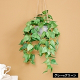フェイクグリーン 人工観葉植物 観葉植物 | PlusNao | 詳細画像11 