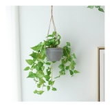 フェイクグリーン 人工観葉植物 観葉植物 | PlusNao | 詳細画像2 