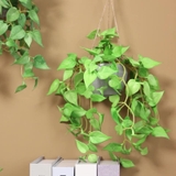 フェイクグリーン 人工観葉植物 観葉植物 | PlusNao | 詳細画像4 