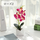 造花 胡蝶蘭 コチョウラン | PlusNao | 詳細画像9 